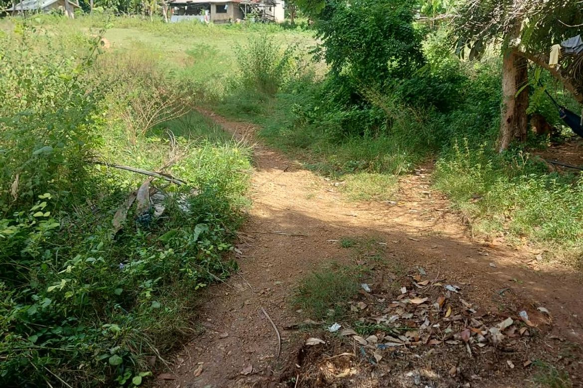 Land for Sale in Catulayan, San Juan, Siquijor – photo 3