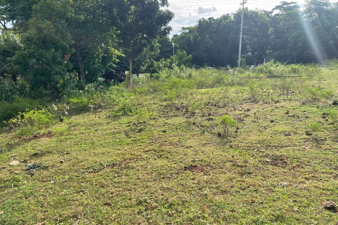 Land for Sale in Catulayan, San Juan, Siquijor – photo 6