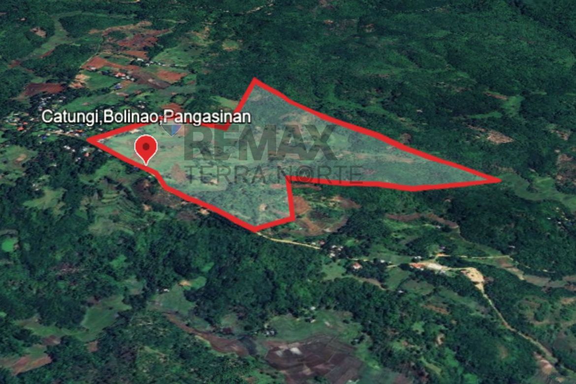 Land for Sale in Catungi, Bolinao, Pangasinan