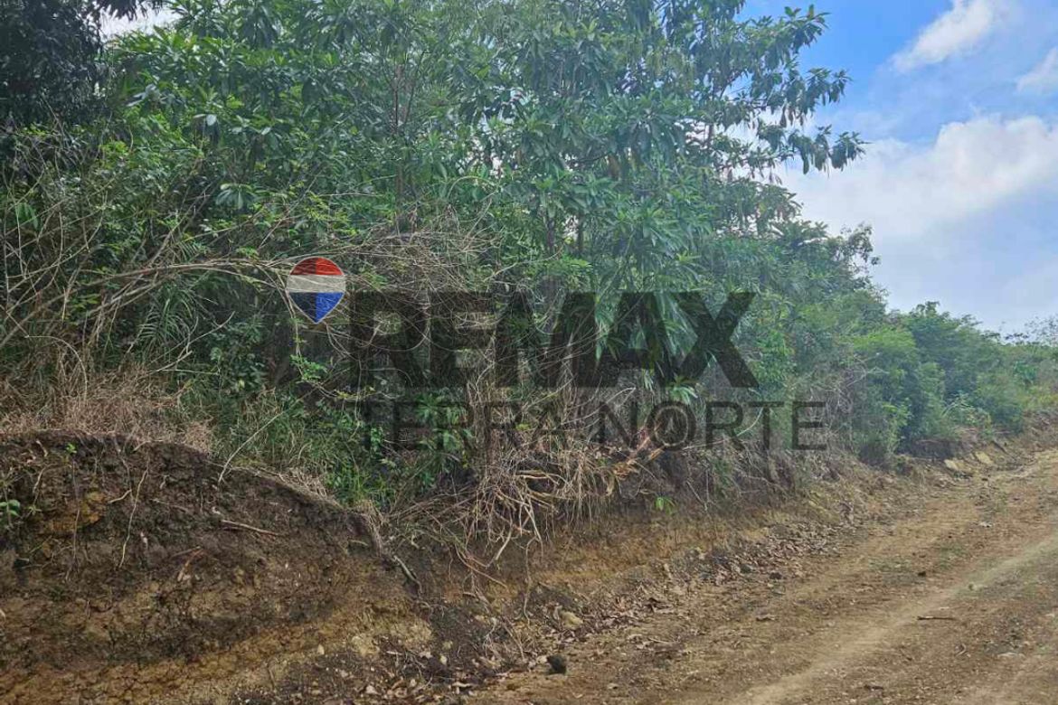 Land for Sale in Catungi, Bolinao, Pangasinan