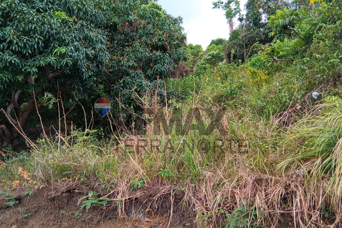 Land for Sale in Catungi, Bolinao, Pangasinan – photo 3