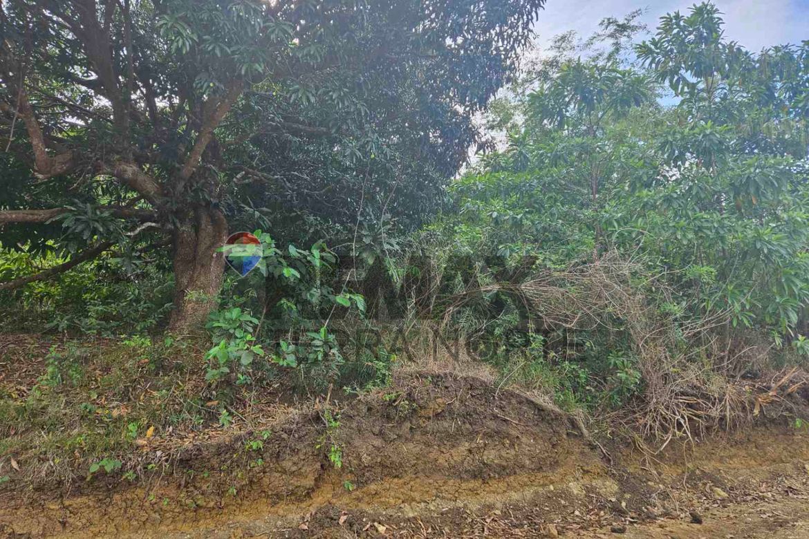 Land for Sale in Catungi, Bolinao, Pangasinan – photo 4
