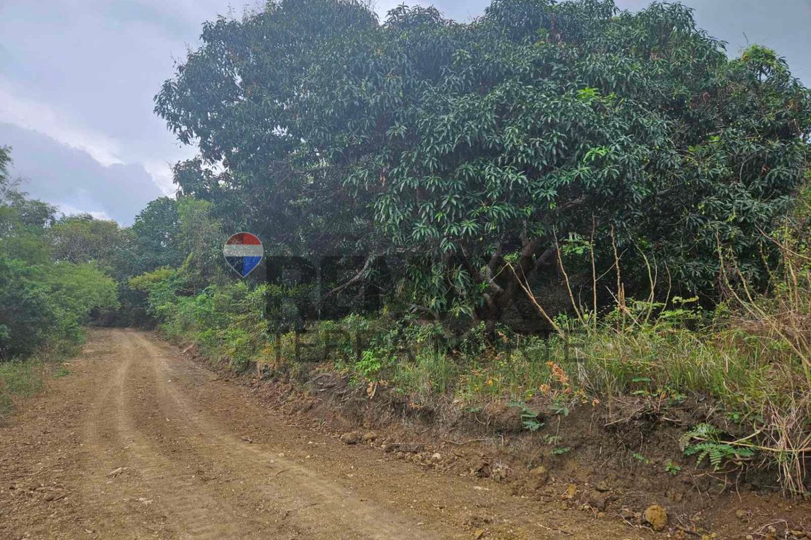 Land for Sale in Catungi, Bolinao, Pangasinan – photo 6