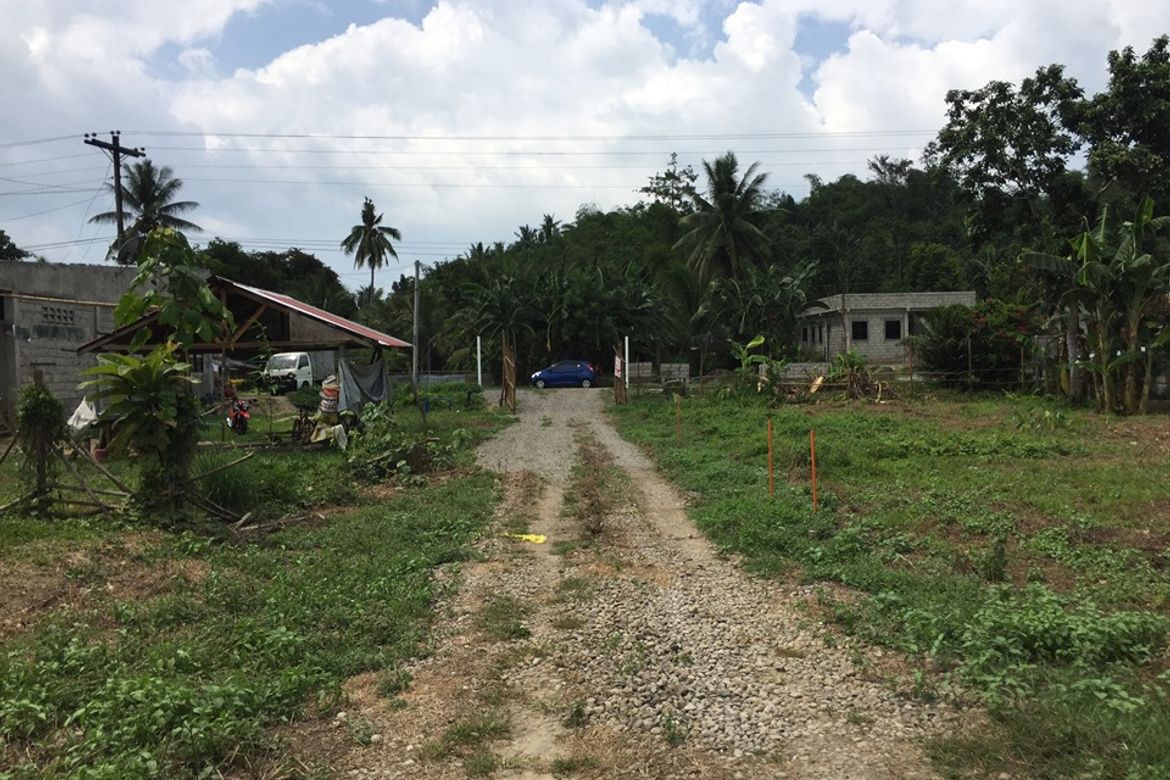 Land for Sale in Cavite, Alangalang, Leyte