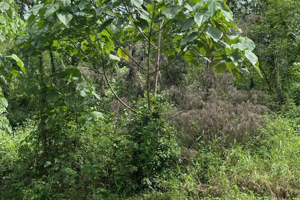 Land for Sale in Cawag, Subic, Zambales – photo 4