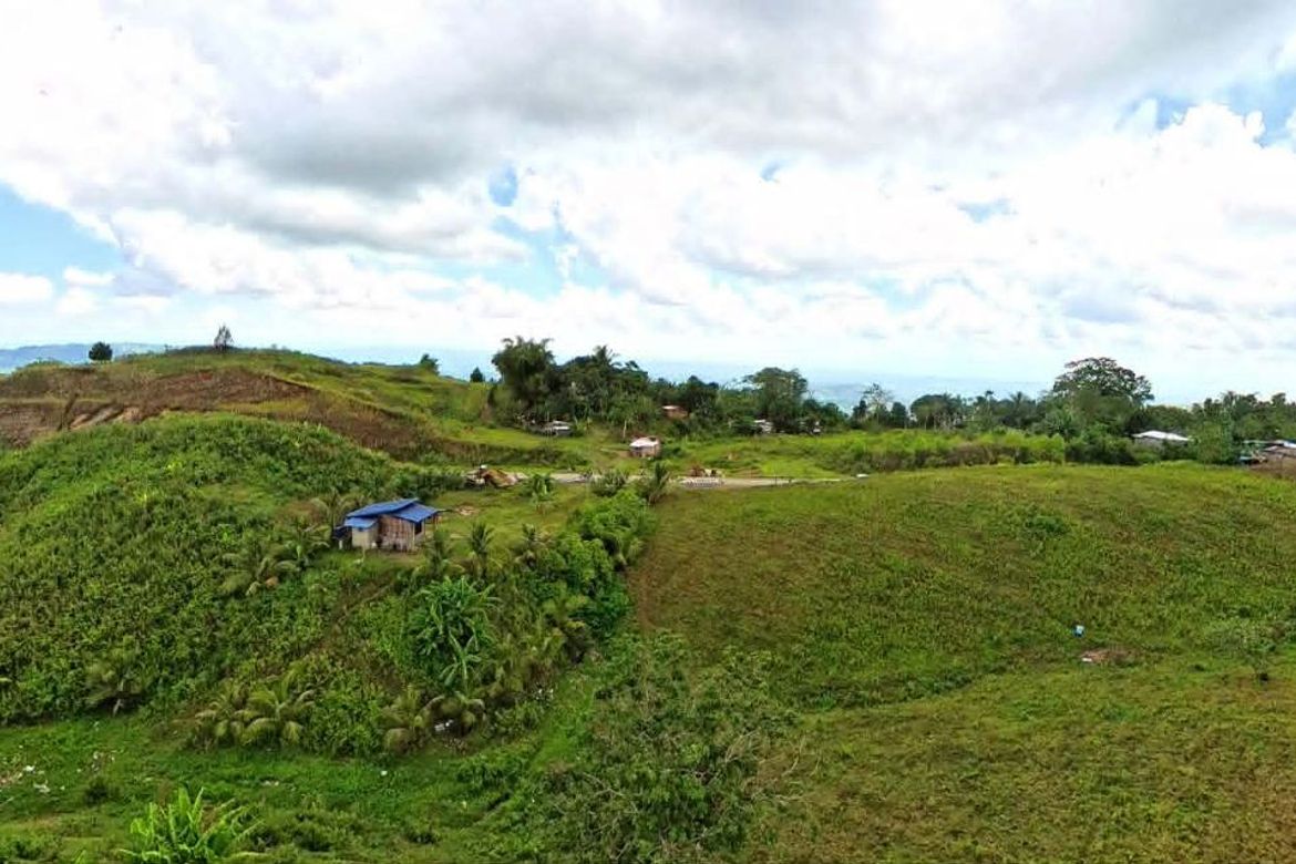Land for Sale in Cawayan, Lantapan, Bukidnon – photo 2