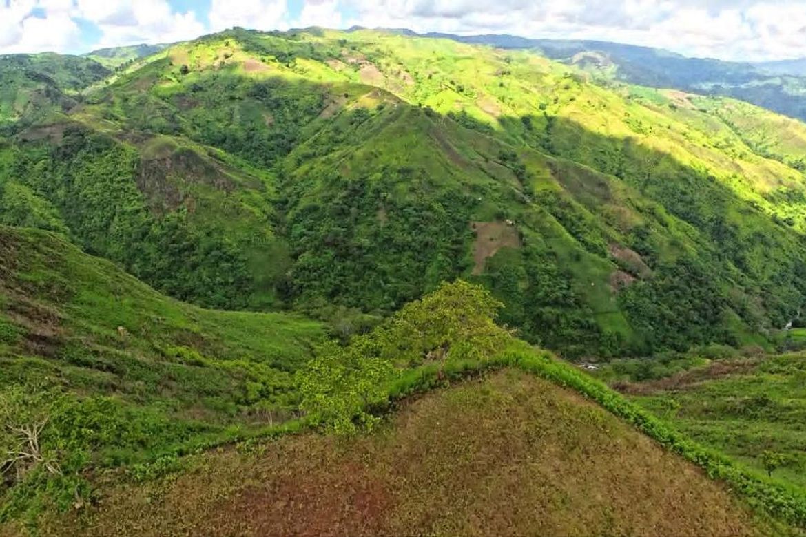 Land for Sale in Cawayan, Lantapan, Bukidnon – photo 3