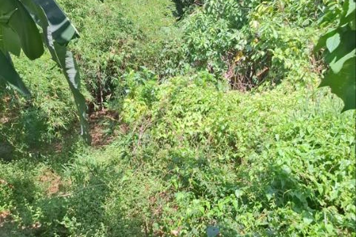 Land for Sale in Cay Pombo, Santa Maria, Bulacan – photo 3