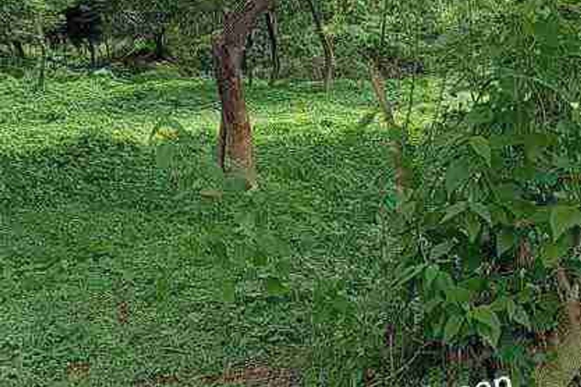Land for Sale in Cay Pombo, Santa Maria, Bulacan – photo 7