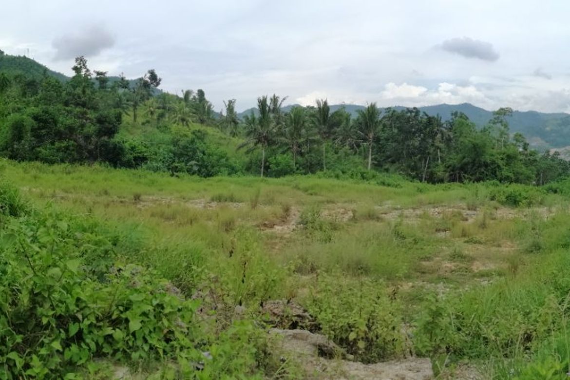 Land for Sale in Central Poblacion, Naga, Cebu