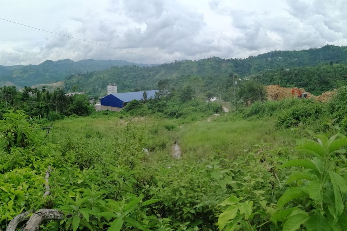 Land for Sale in Central Poblacion, Naga, Cebu – photo 2