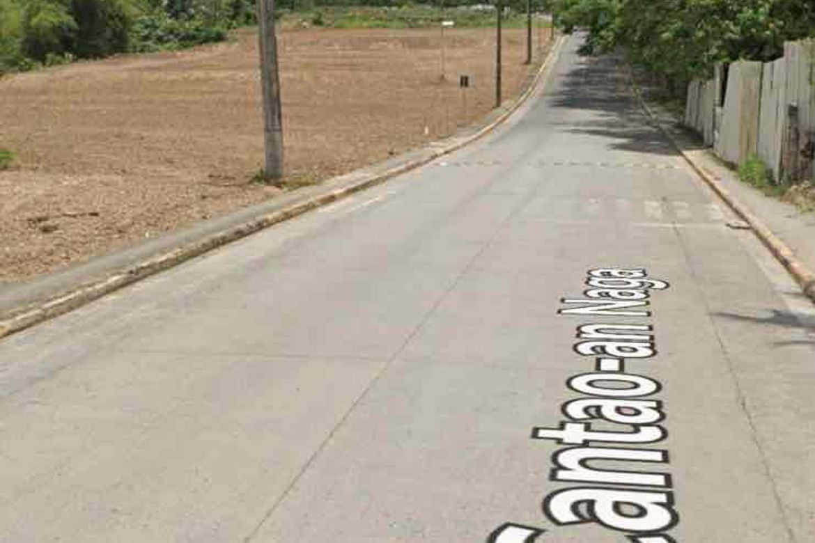 Land for Sale in Central Poblacion, Naga, Cebu