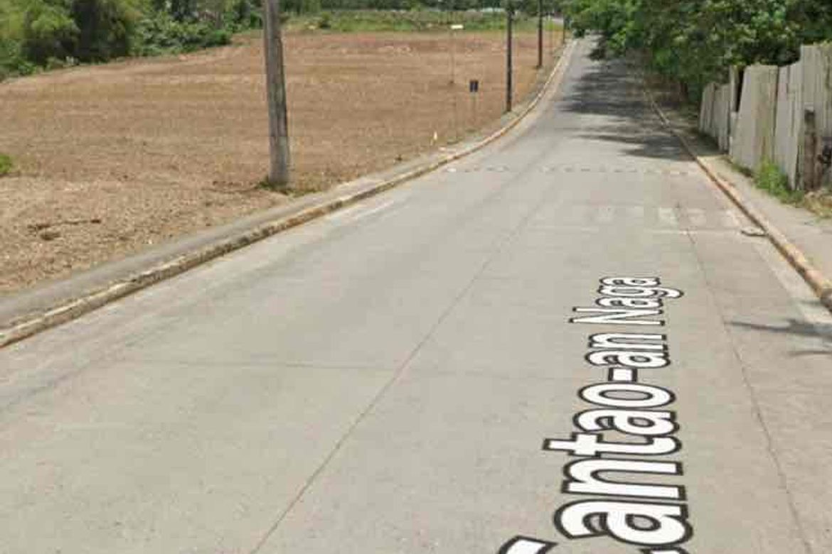 Land for Sale in Central Poblacion, Naga, Cebu – photo 2