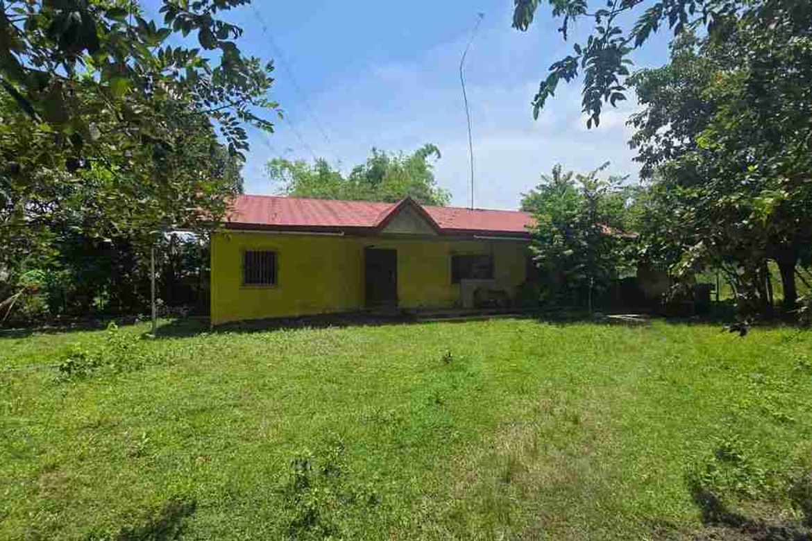Land for Sale in Central, San Marcelino, Zambales – photo 3