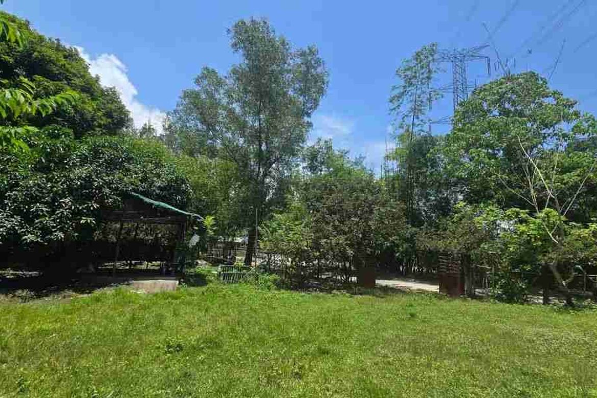 Land for Sale in Central, San Marcelino, Zambales – photo 5