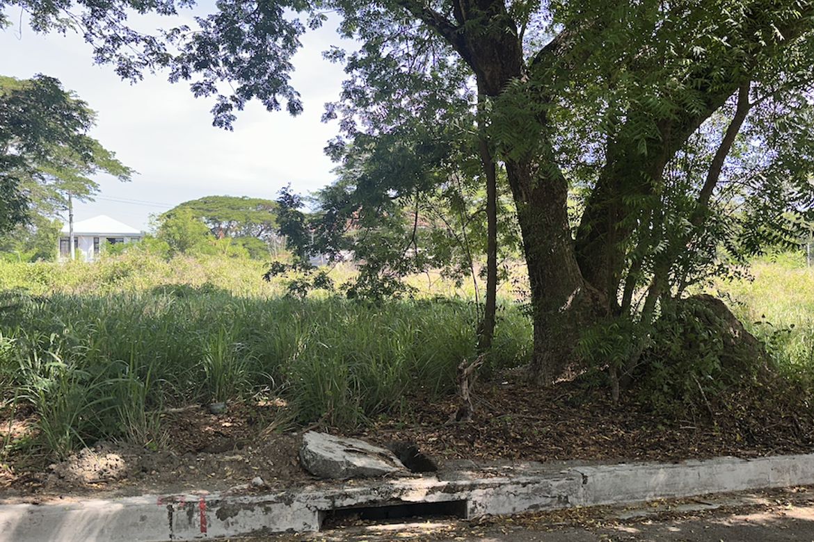 Land for Sale in Central, Tarlac, Tarlac – photo 5