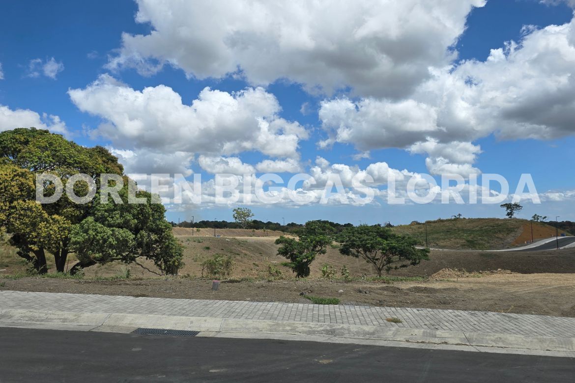 Land for Sale in Ciela at Aéra Heights, Lantic, Carmona, Cavite – photo 3