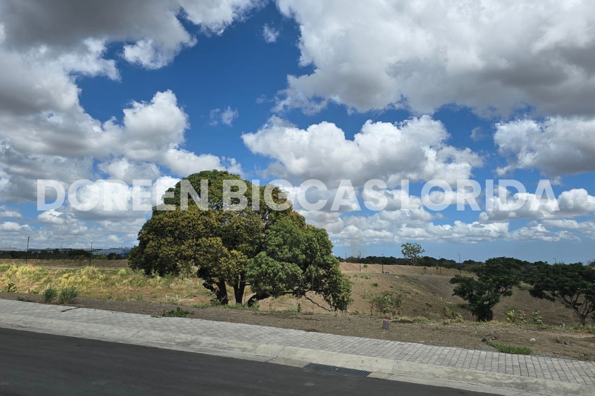 Land for Sale in Ciela at Aéra Heights, Lantic, Carmona, Cavite – photo 4