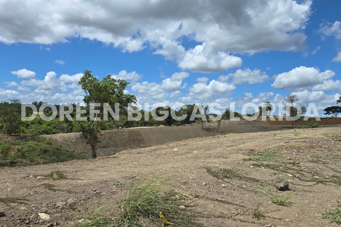 Land for Sale in Ciela at Aéra Heights, Lantic, Carmona, Cavite – photo 5
