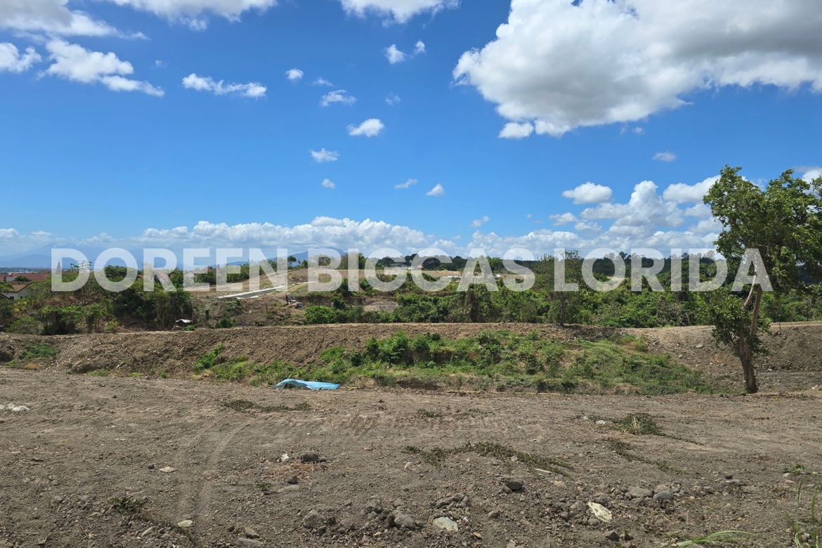 Land for Sale in Ciela at Aéra Heights, Lantic, Carmona, Cavite – photo 7