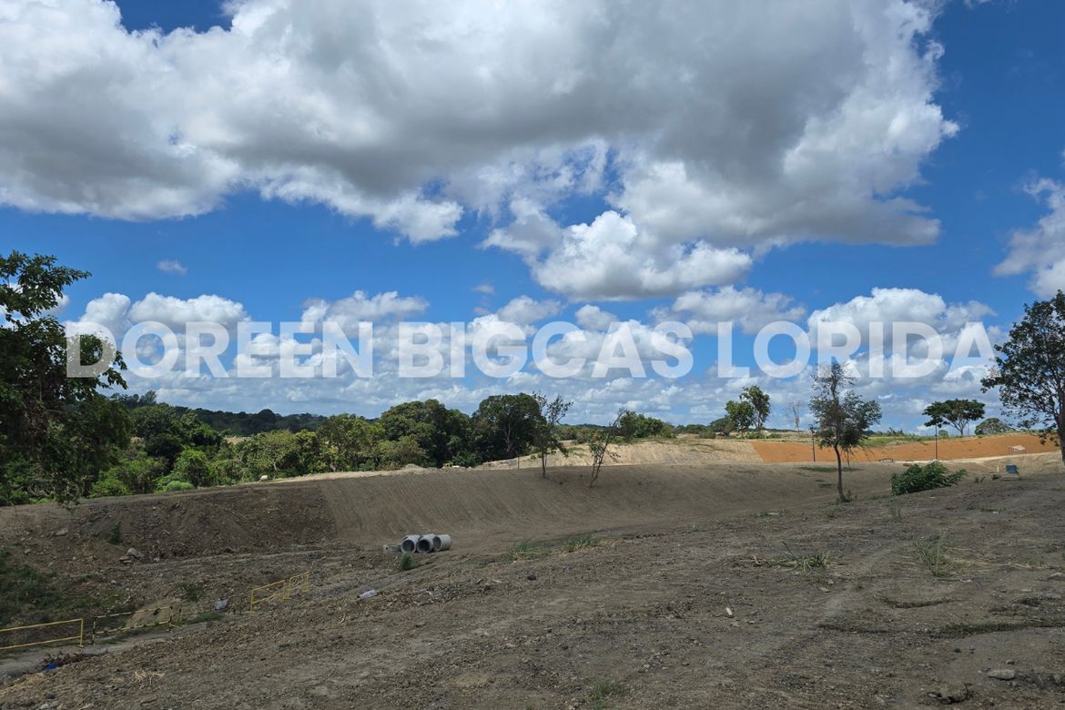Land for Sale in Ciela at Aéra Heights, Lantic, Carmona, Cavite – photo 5