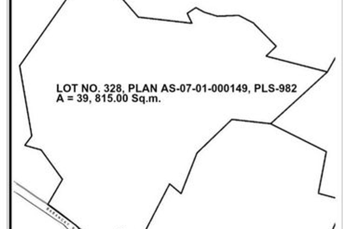 Land for Sale in Cogon, Compostela, Cebu – photo 3