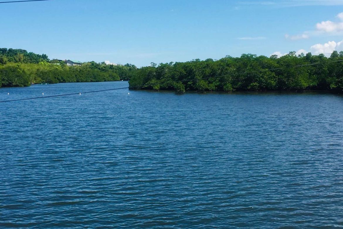 Land for Sale in Cogon Norte, Loon, Bohol – photo 2