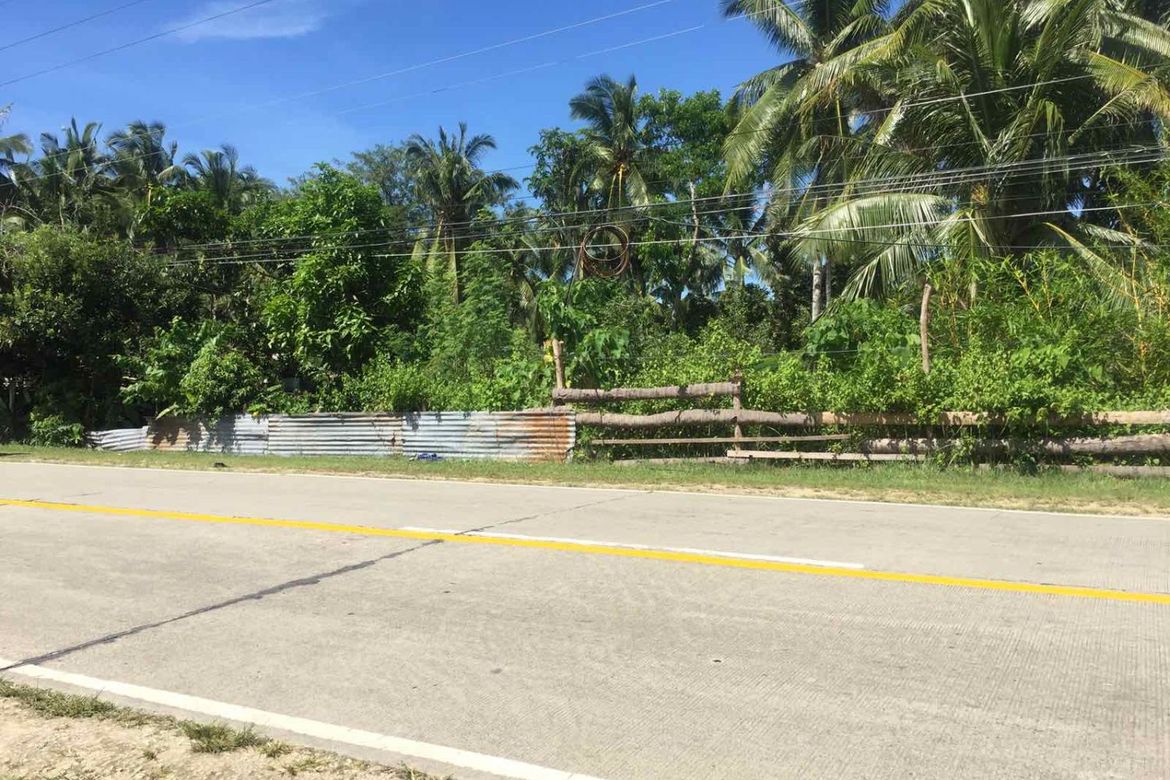Land for Sale in Cogon Norte, Loon, Bohol – photo 6