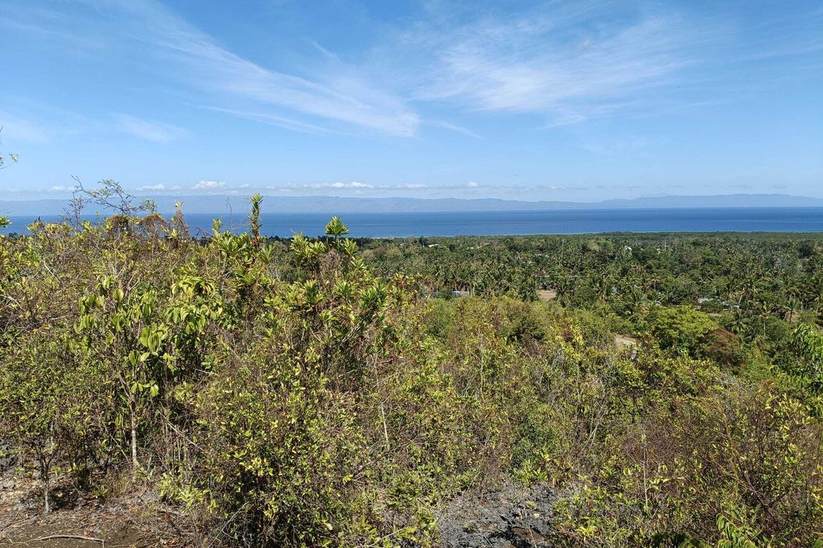 Land for Sale in Cogon Norte, Loon, Bohol – photo 2