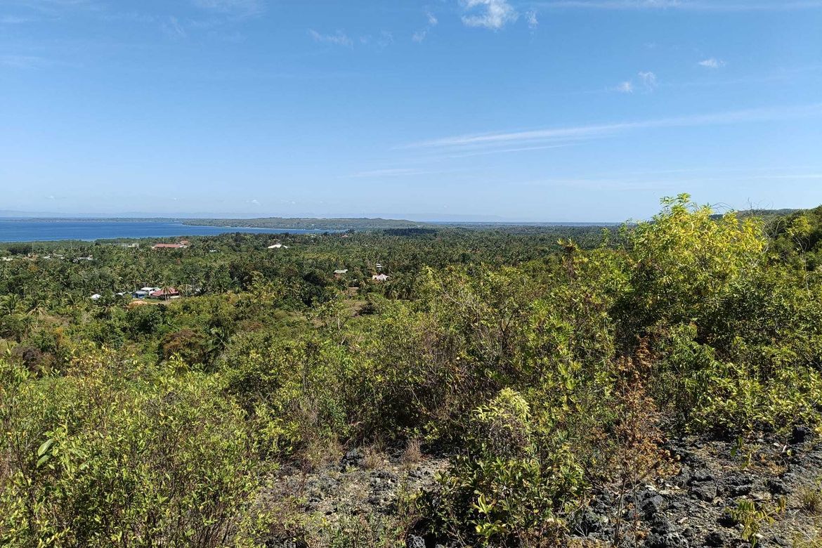 Land for Sale in Cogon Norte, Loon, Bohol – photo 5