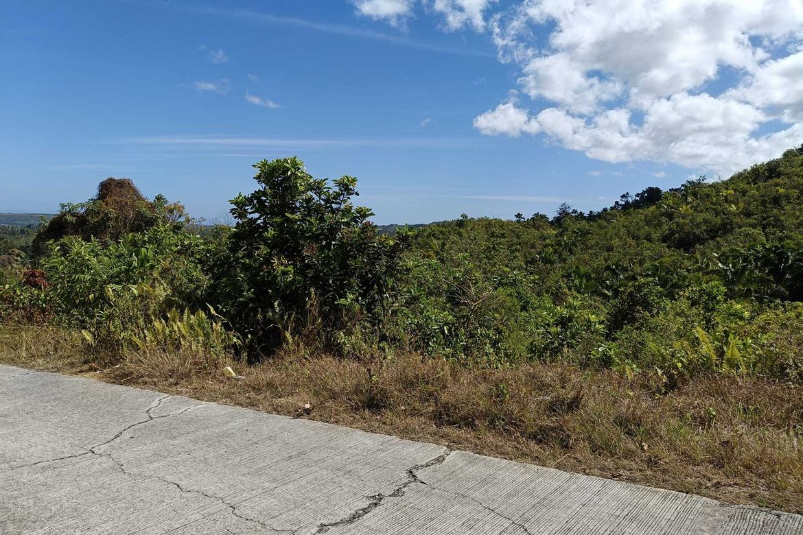 Land for Sale in Cogon Norte, Loon, Bohol – photo 6