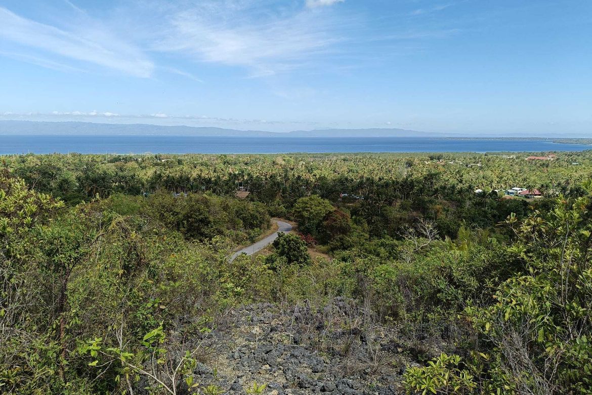 Land for Sale in Cogon Norte, Loon, Bohol – photo 7