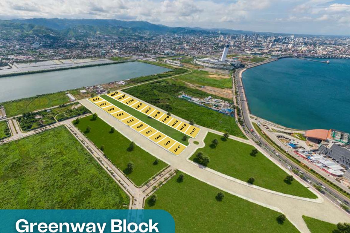 Land for Sale in Cogon Pardo, Cebu City, Cebu – photo 2