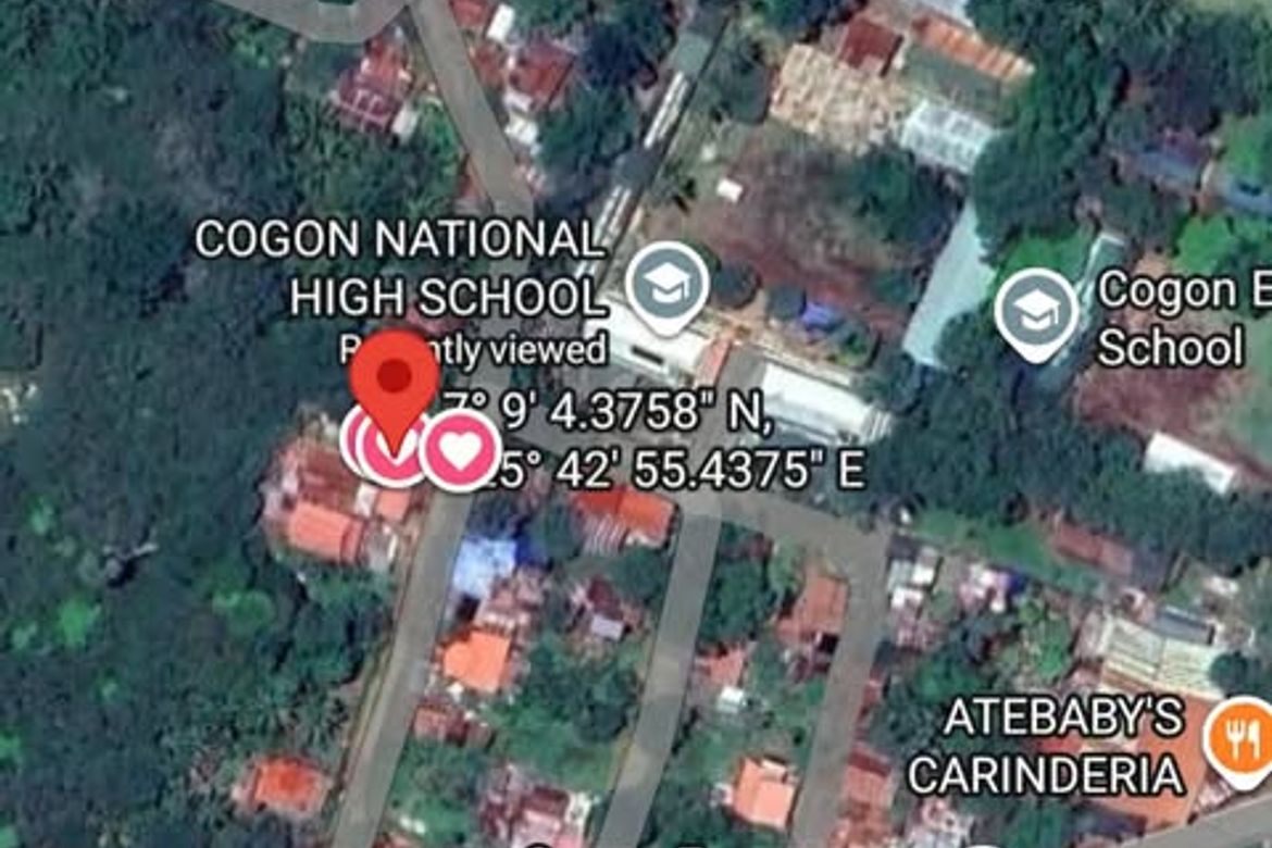 Land for Sale in Cogon, Samal, Davao del Norte – photo 3
