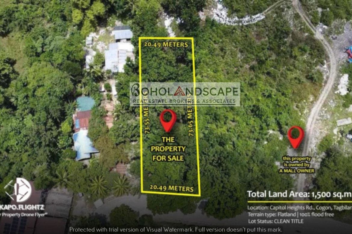 Land for Sale in Cogon, Tagbilaran, Bohol – photo 3