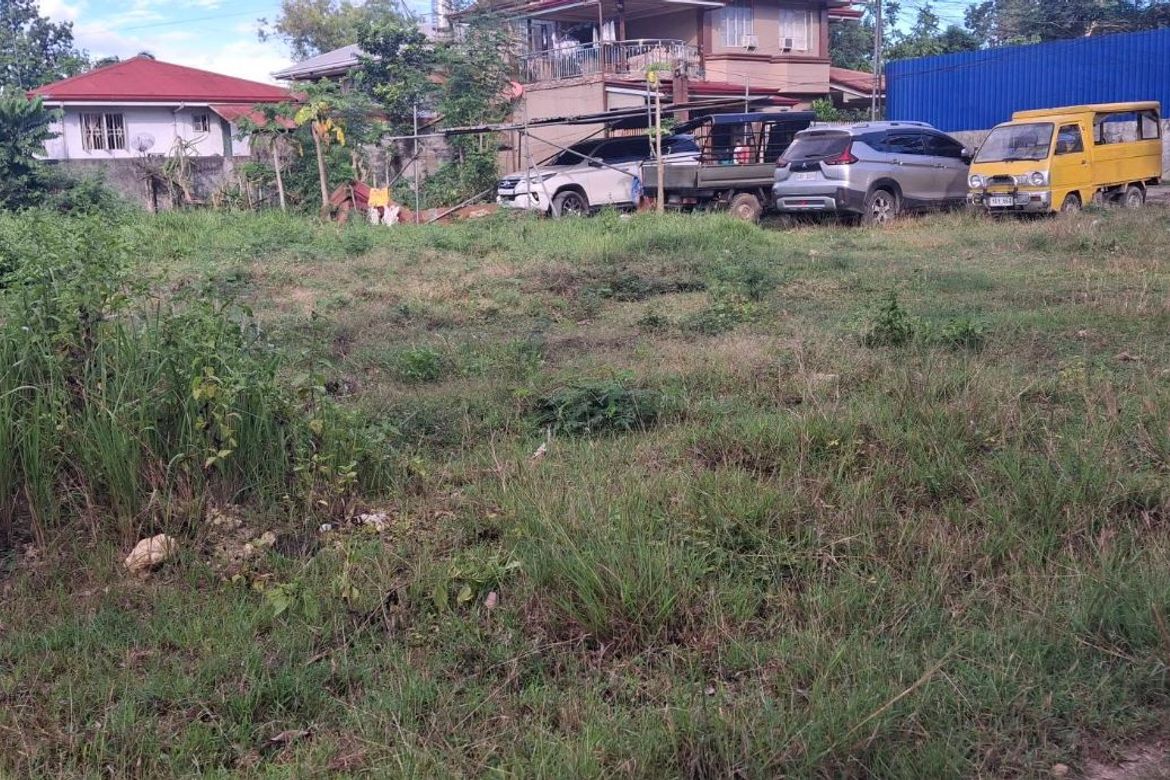 Land for Sale in Cogon, Tagbilaran, Bohol