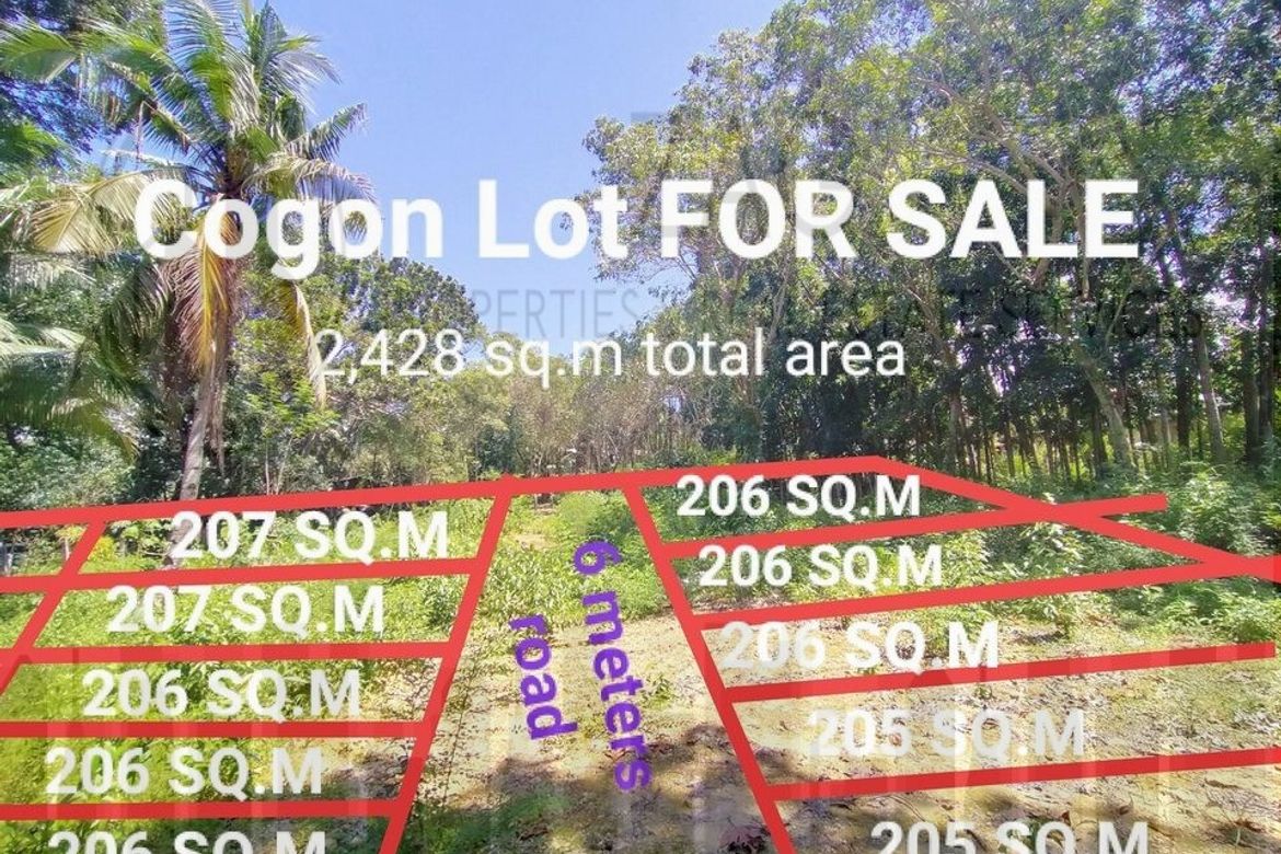 Land for Sale in Cogon, Tagbilaran, Bohol – photo 2