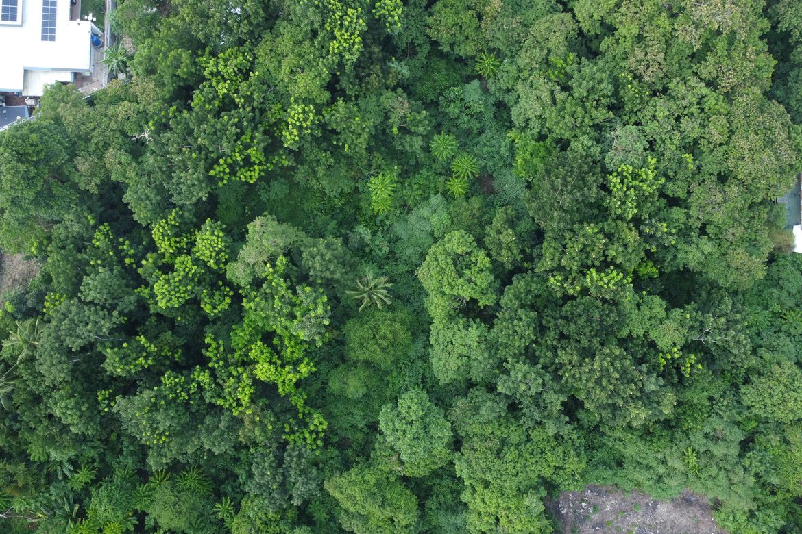 Land for Sale in Cogon, Tagbilaran, Bohol – photo 6