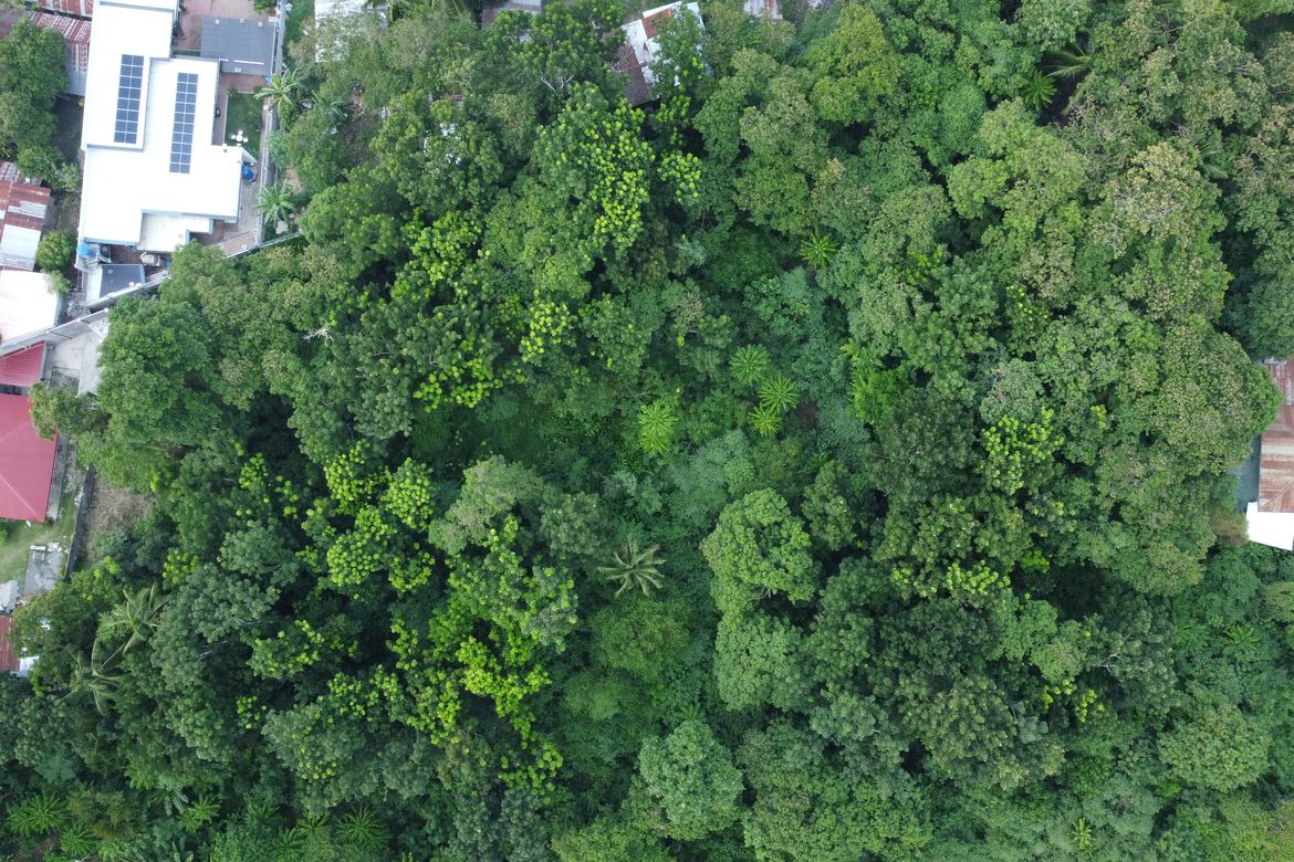 Land for Sale in Cogon, Tagbilaran, Bohol – photo 7