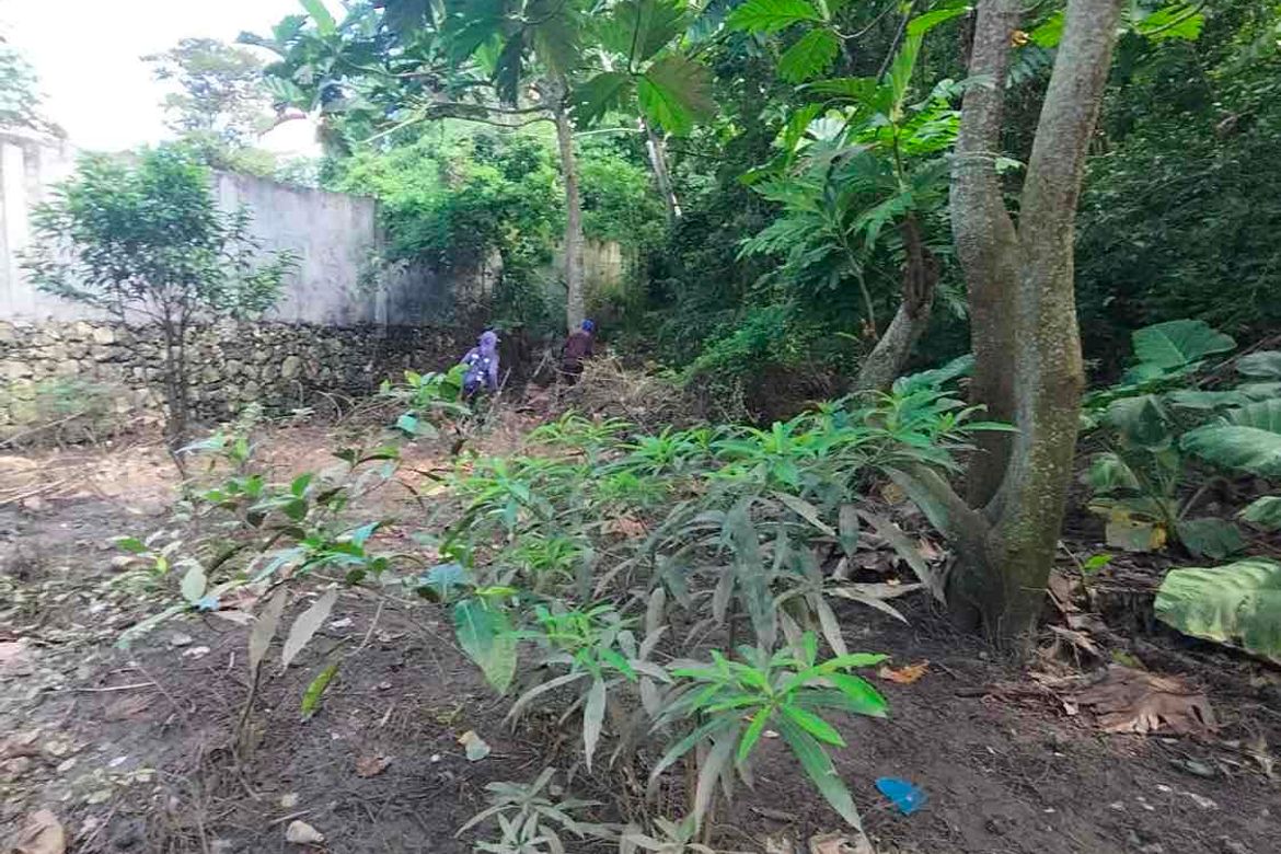Land for Sale in Cogon, Tagbilaran, Bohol – photo 3