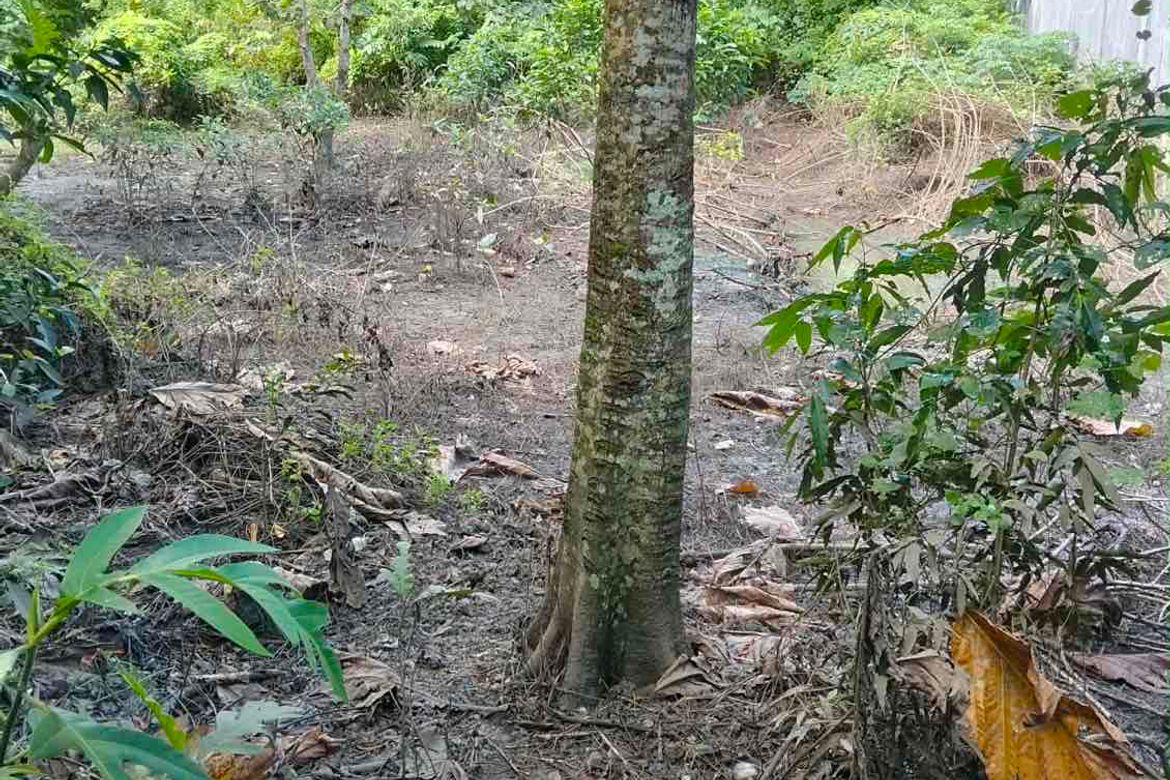 Land for Sale in Cogon, Tagbilaran, Bohol – photo 7