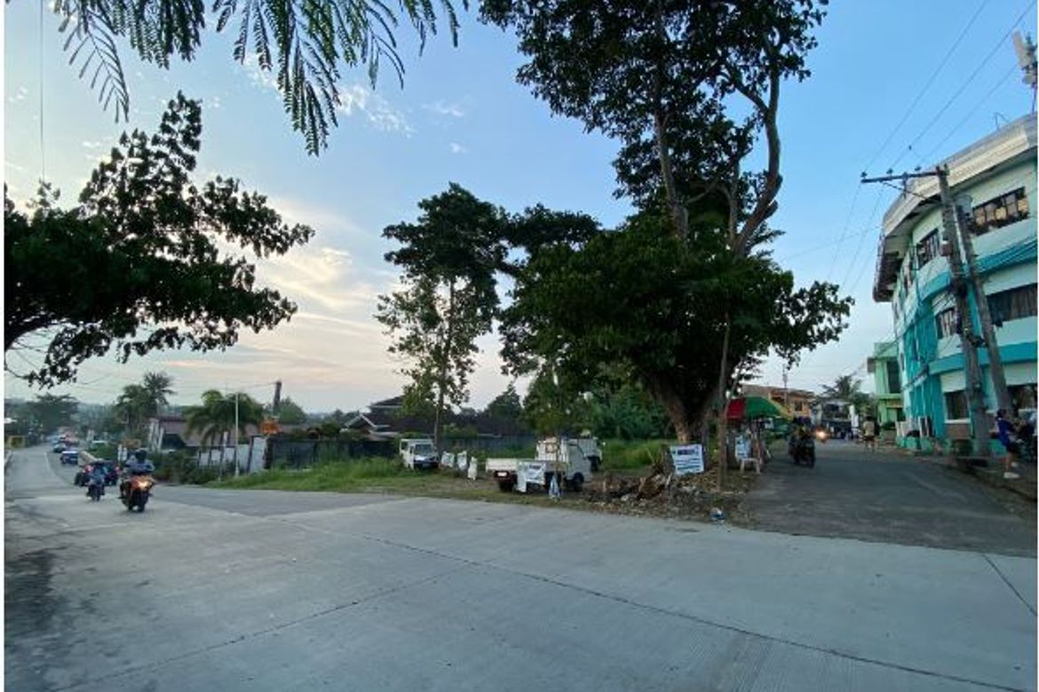 Land for Sale in Cogon, Tagbilaran, Bohol – photo 3