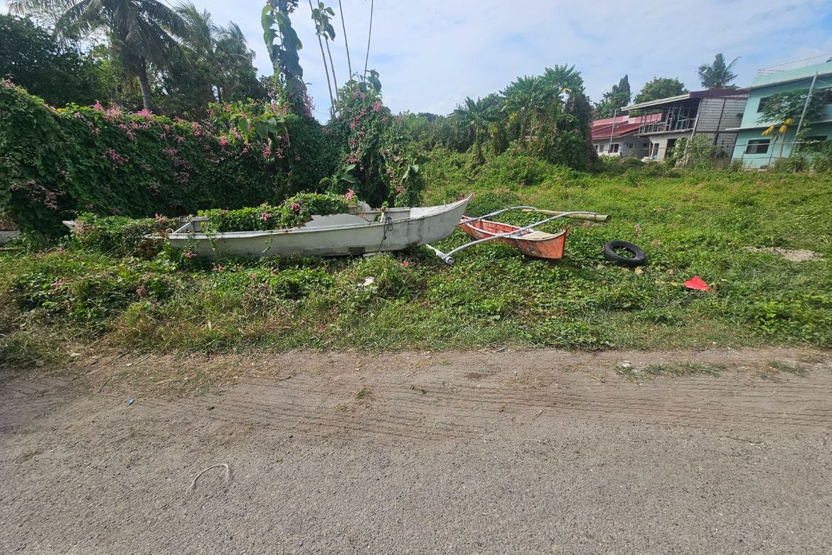 Land for Sale in Cogon, Tagbilaran, Bohol
