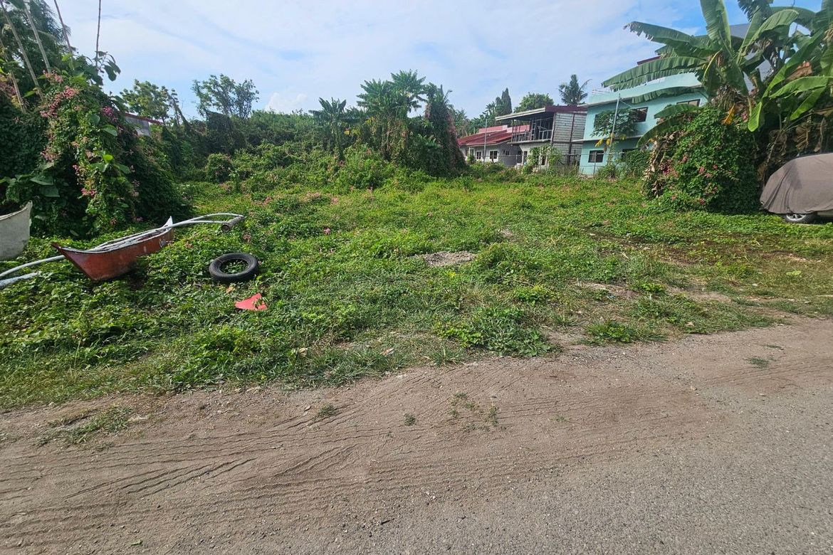 Land for Sale in Cogon, Tagbilaran, Bohol – photo 2