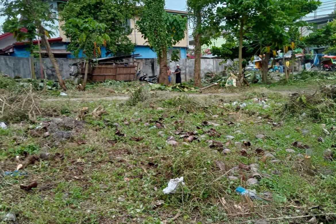 Land for Sale in Cogon, Tagbilaran, Bohol – photo 3