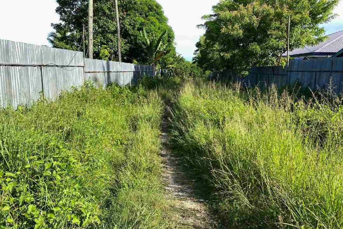 Land for Sale in Cogon West, Carmen, Cebu – photo 3