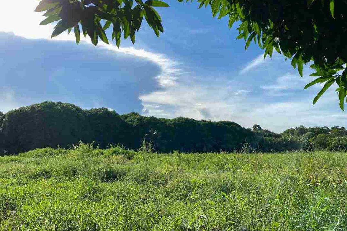 Land for Sale in Cogon West, Carmen, Cebu – photo 6