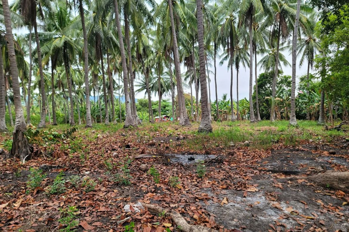 Land for Sale in Cogon West, Carmen, Cebu – photo 2