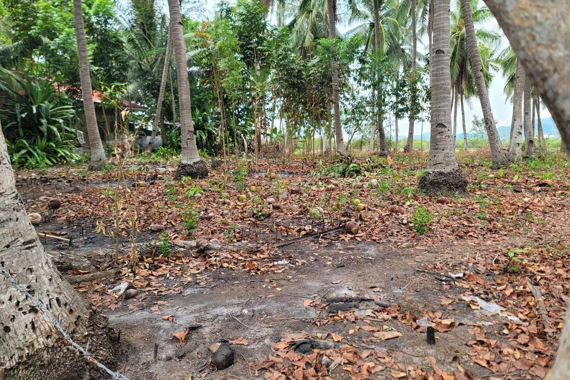 Land for Sale in Cogon West, Carmen, Cebu – photo 7
