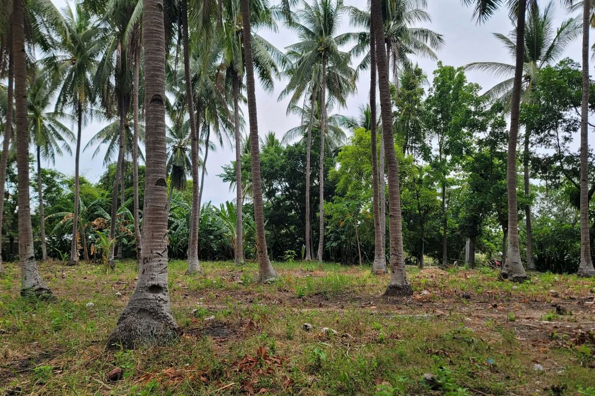 Land for Sale in Cogon West, Carmen, Cebu – photo 8
